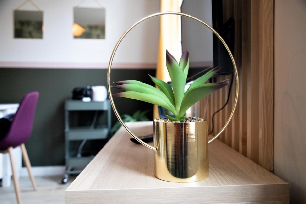 Le Riquet 204 - Hypercentre - Gare Apartment Toulouse Ngoại thất bức ảnh